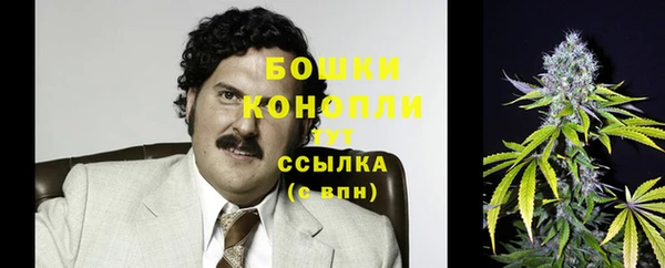 MDMA Бородино